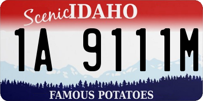 ID license plate 1A9111M