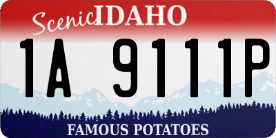 ID license plate 1A9111P