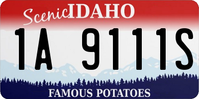 ID license plate 1A9111S