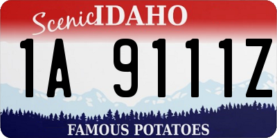 ID license plate 1A9111Z