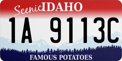 ID license plate 1A9113C