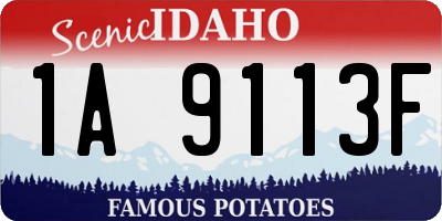 ID license plate 1A9113F