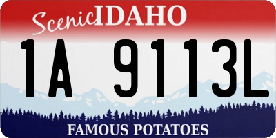 ID license plate 1A9113L