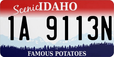 ID license plate 1A9113N