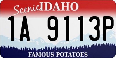 ID license plate 1A9113P