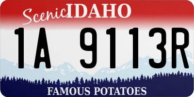 ID license plate 1A9113R