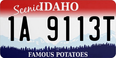 ID license plate 1A9113T