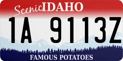 ID license plate 1A9113Z