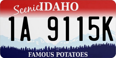 ID license plate 1A9115K