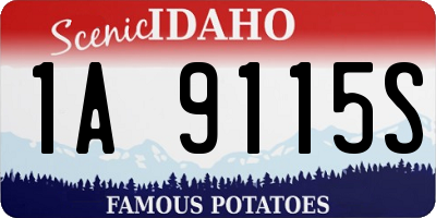 ID license plate 1A9115S