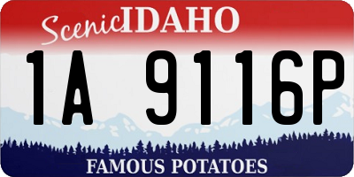 ID license plate 1A9116P