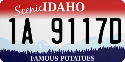 ID license plate 1A9117D