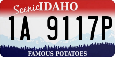 ID license plate 1A9117P