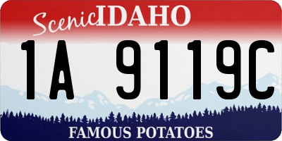 ID license plate 1A9119C