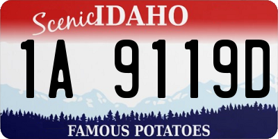 ID license plate 1A9119D