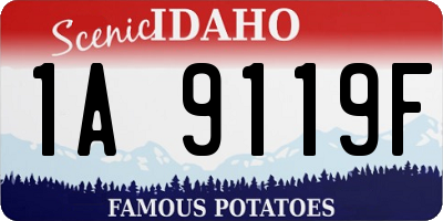 ID license plate 1A9119F