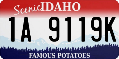 ID license plate 1A9119K