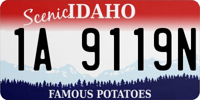 ID license plate 1A9119N