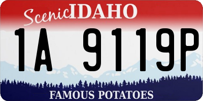ID license plate 1A9119P