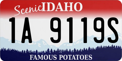 ID license plate 1A9119S