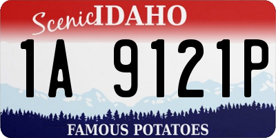ID license plate 1A9121P