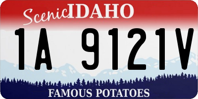ID license plate 1A9121V
