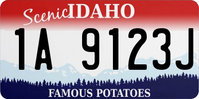 ID license plate 1A9123J
