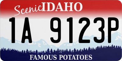 ID license plate 1A9123P