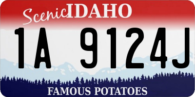 ID license plate 1A9124J
