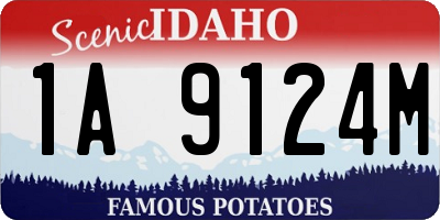 ID license plate 1A9124M