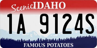 ID license plate 1A9124S