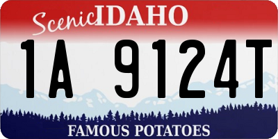 ID license plate 1A9124T