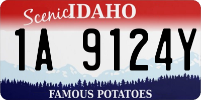 ID license plate 1A9124Y