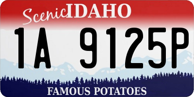 ID license plate 1A9125P