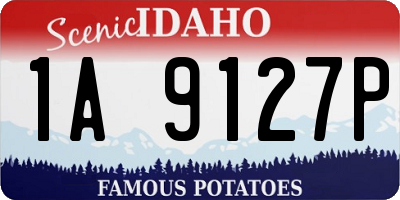 ID license plate 1A9127P