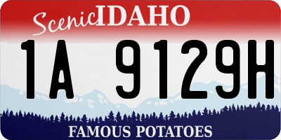 ID license plate 1A9129H