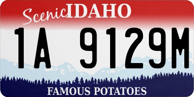 ID license plate 1A9129M