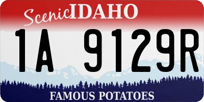 ID license plate 1A9129R