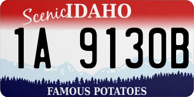 ID license plate 1A9130B