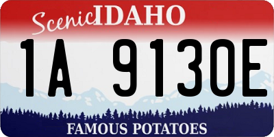 ID license plate 1A9130E