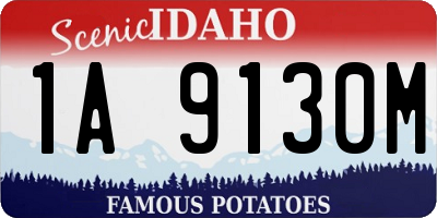 ID license plate 1A9130M