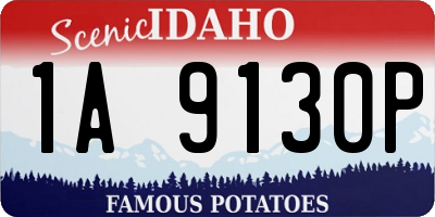 ID license plate 1A9130P