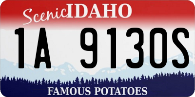 ID license plate 1A9130S