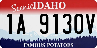 ID license plate 1A9130V