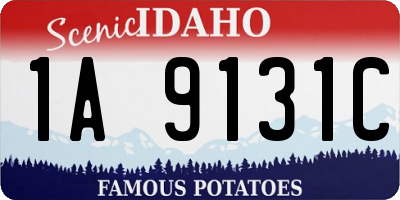 ID license plate 1A9131C