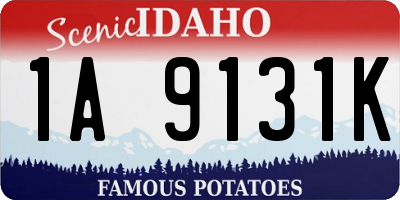 ID license plate 1A9131K