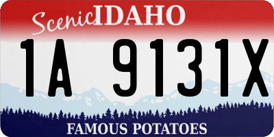 ID license plate 1A9131X