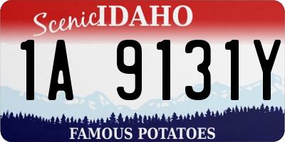 ID license plate 1A9131Y