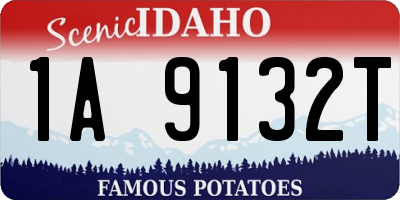 ID license plate 1A9132T