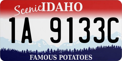 ID license plate 1A9133C